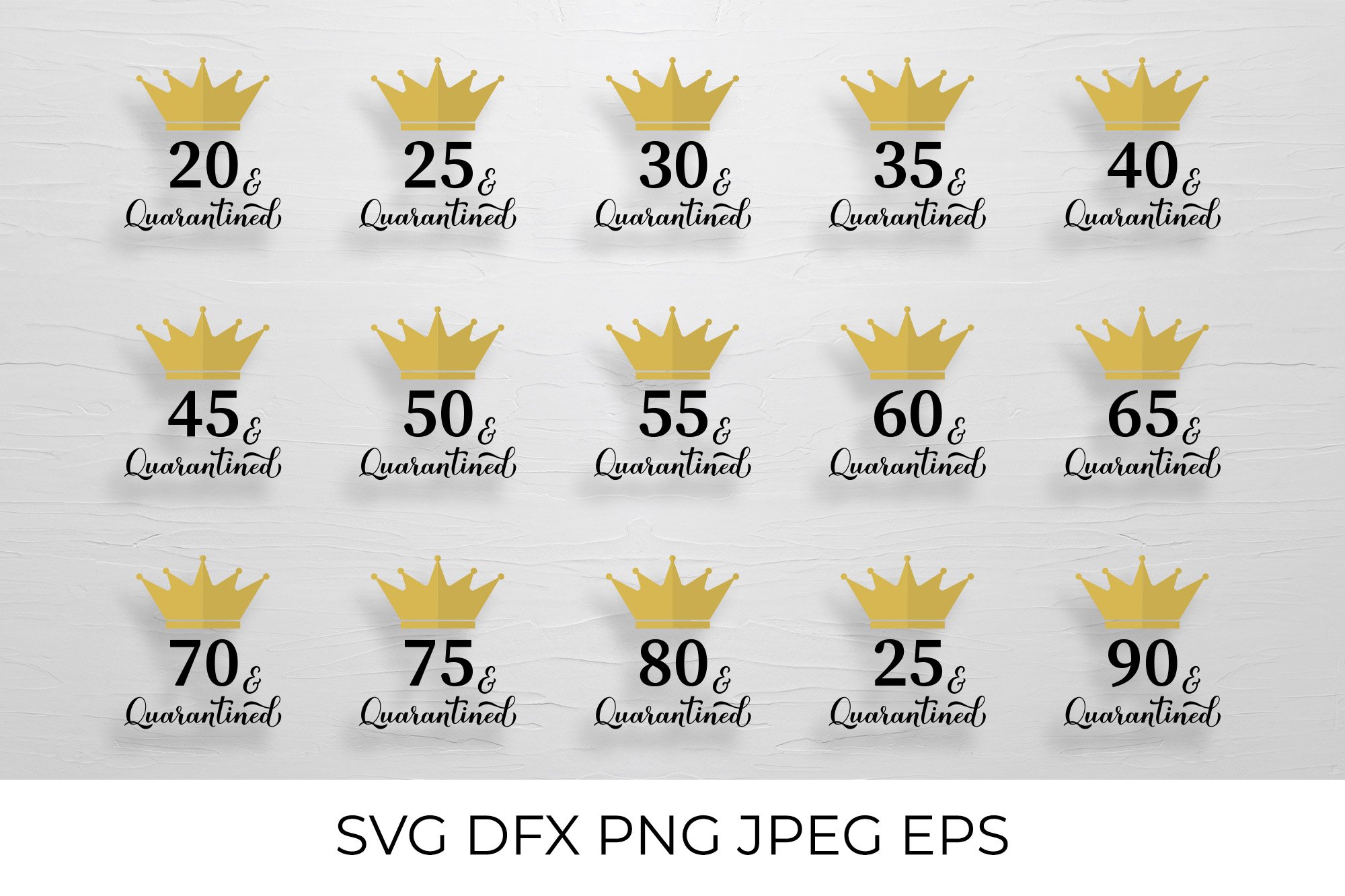 Quarantined Birthday SVG Bundle. Funny Birthday Gifts