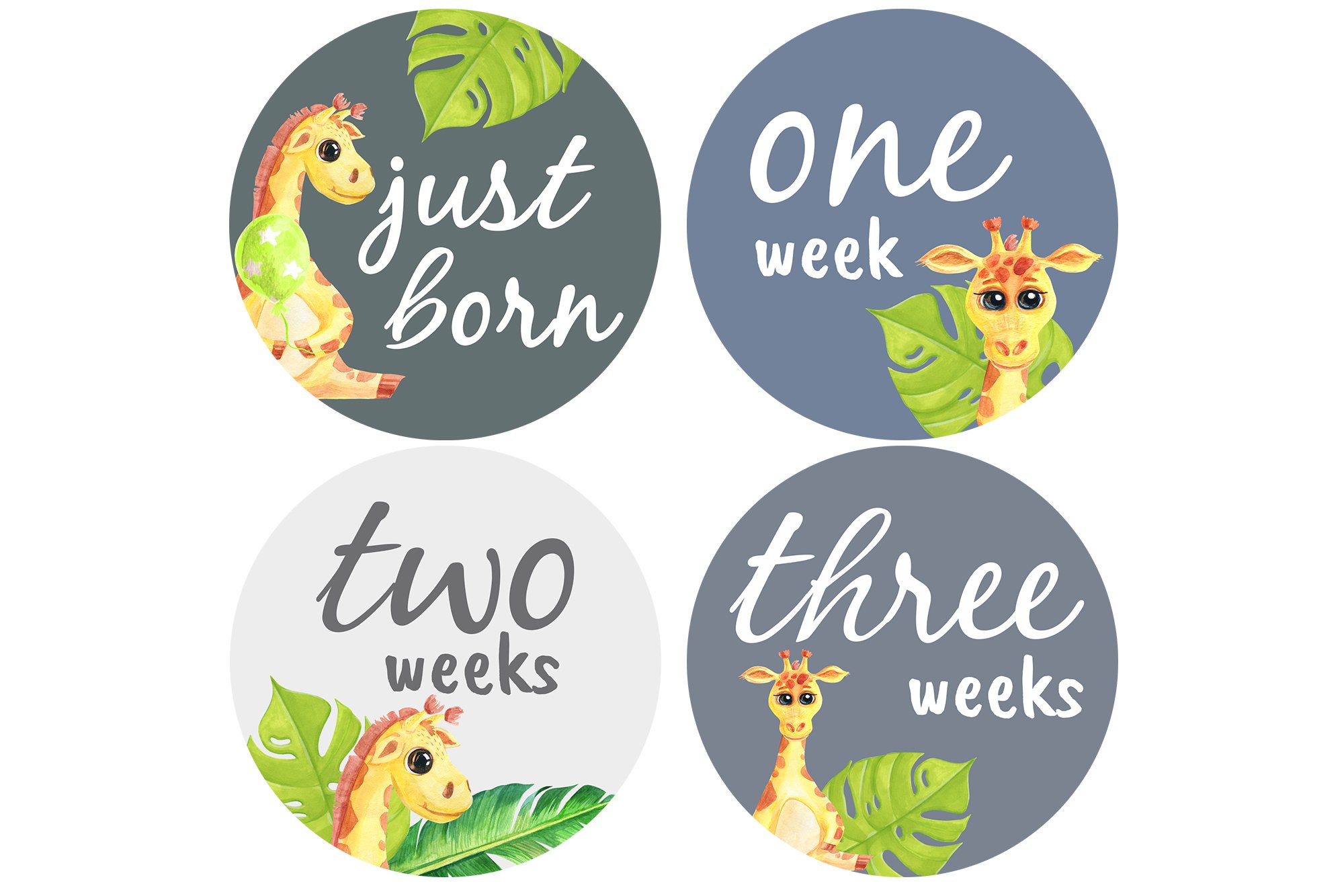 Baby 16 Milestone Cards Newborn Announcement New Baby Disc view 2