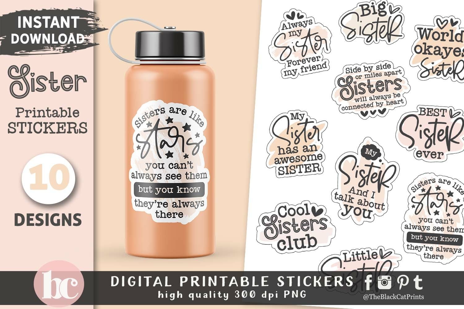 Funny Sister Stickers | Sisters Day Printable Stickers PNG view 3