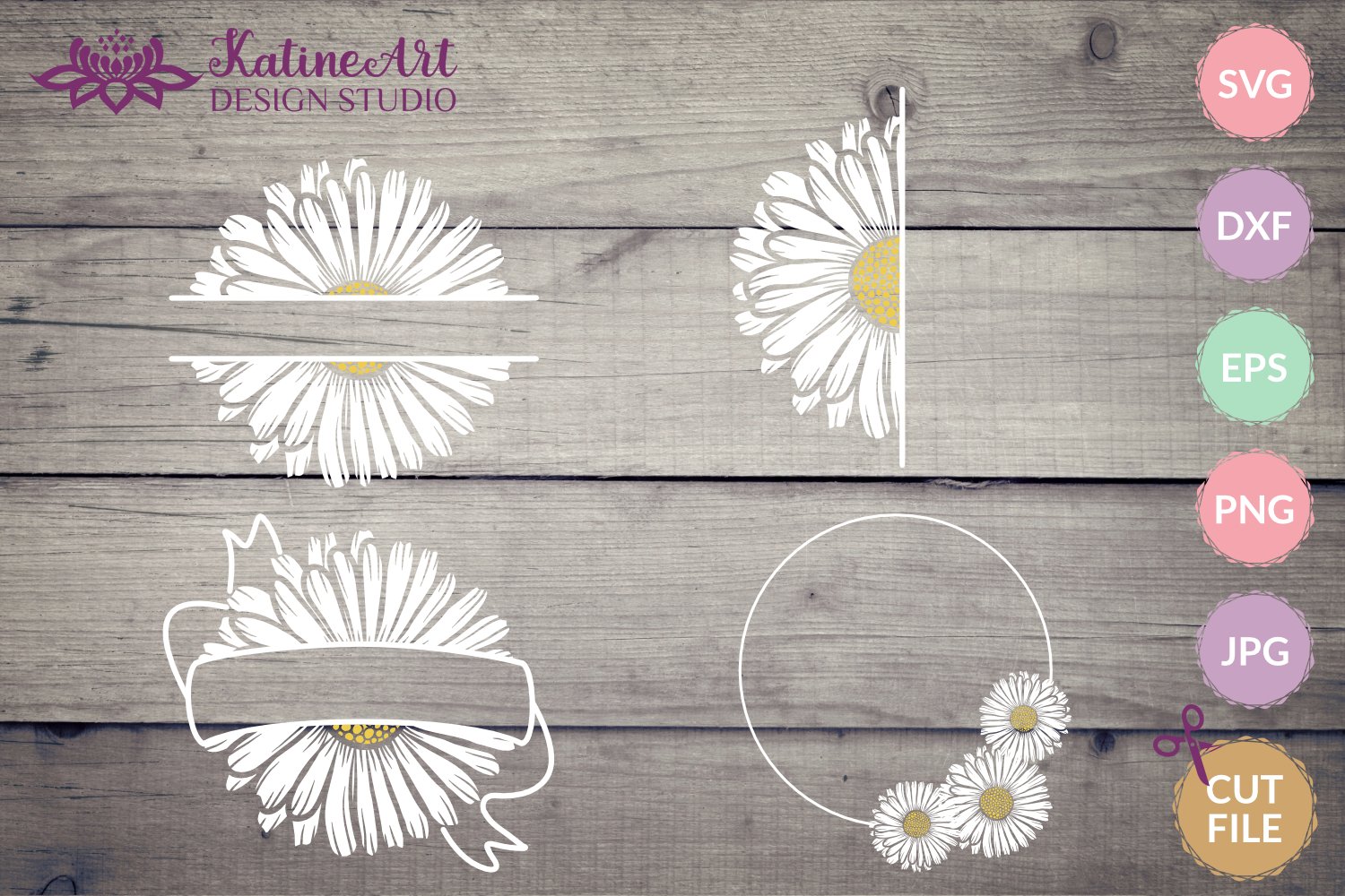 Daisy Svg Bundle Floral Monogram Frames Flower Borders