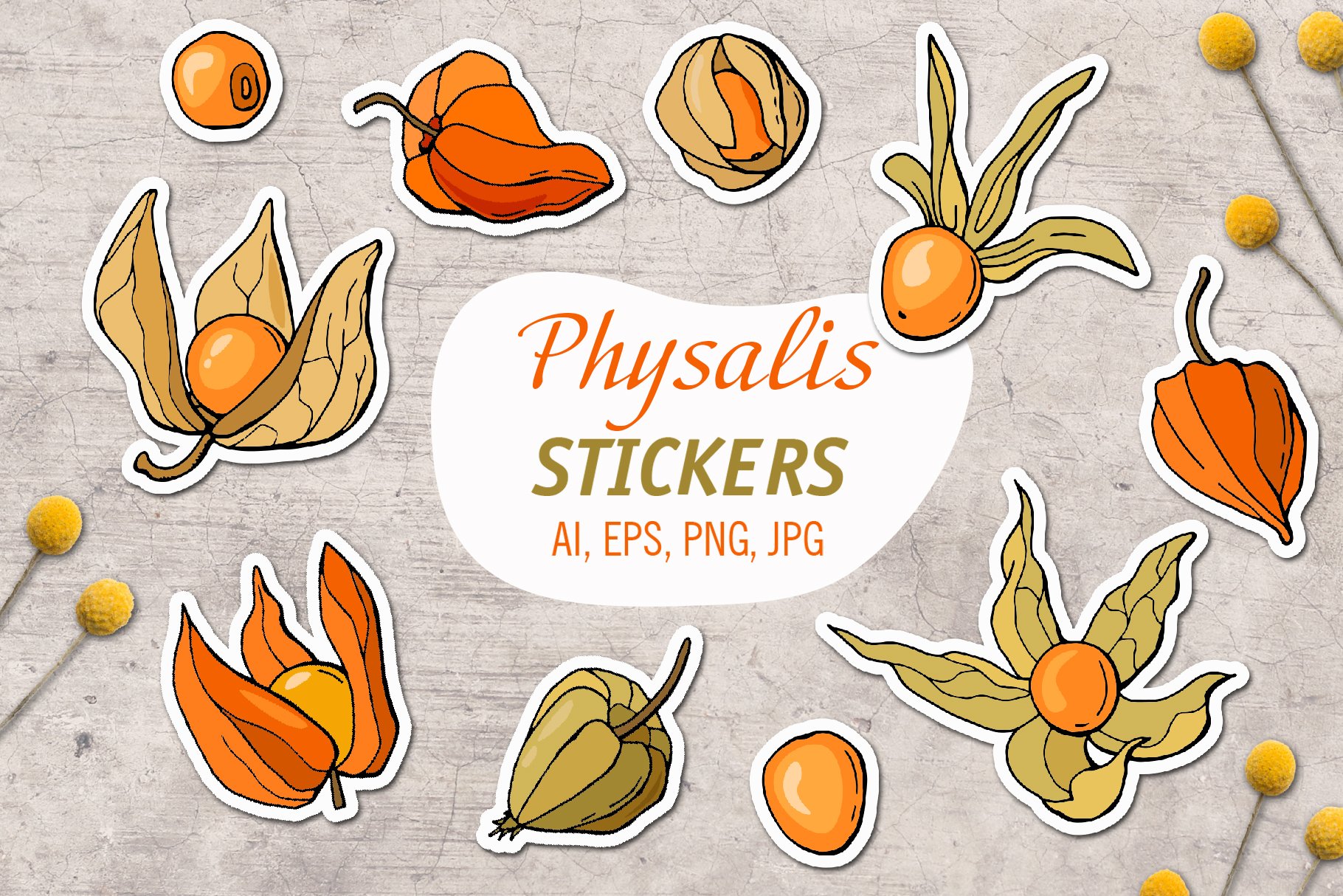 Physalis /Printable Stickers Cricut Design