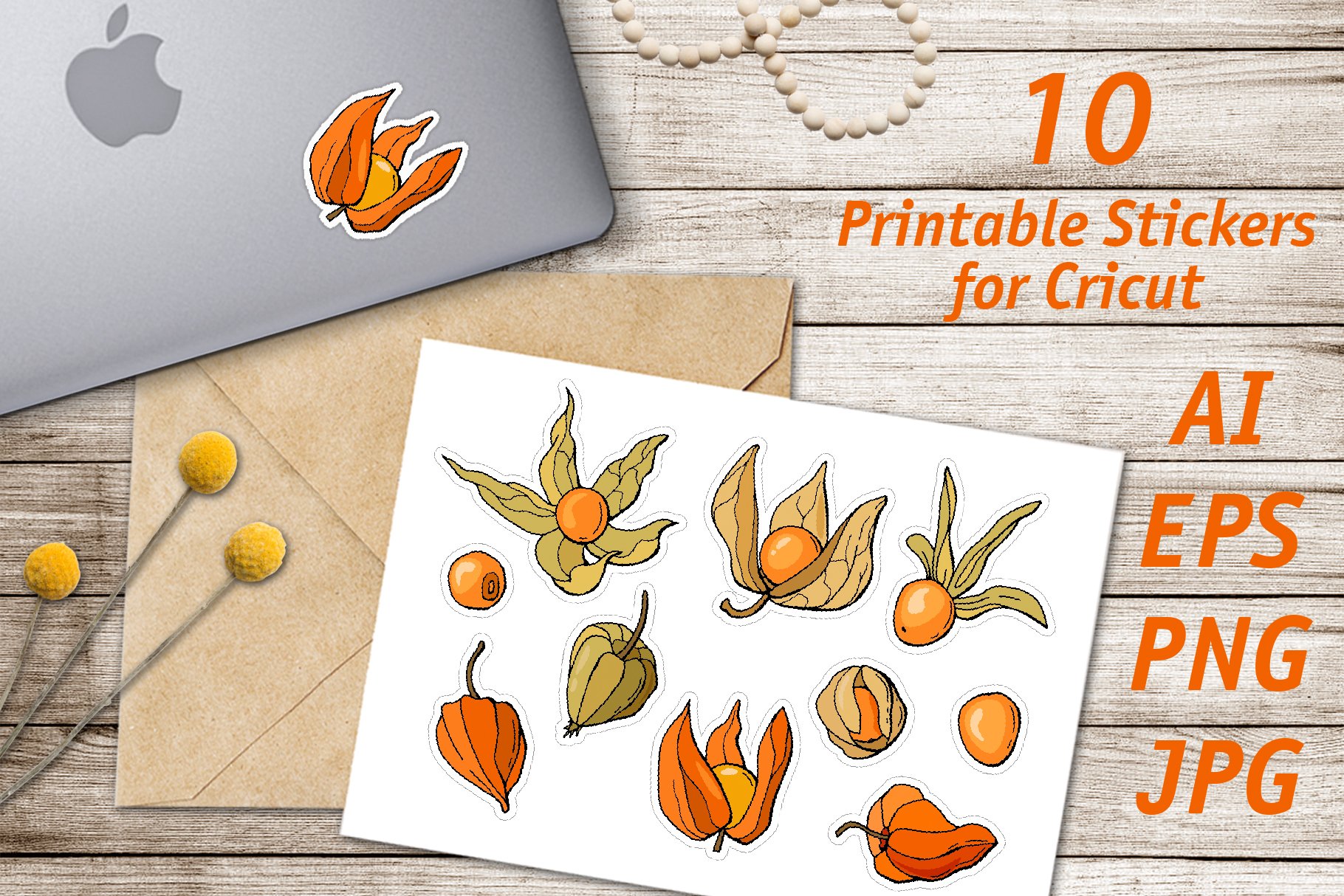 Physalis /Printable Stickers Cricut Design view 3