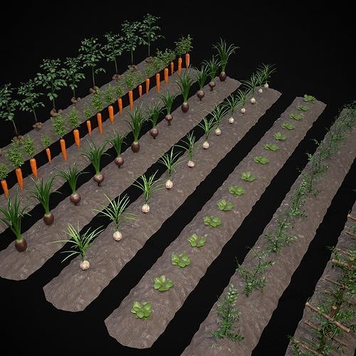 Farmers Crops 3D Model Pack view 2