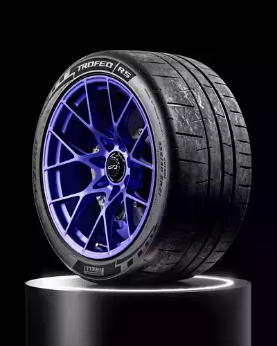 Pirelli P ZERO TROFEO RS 335 30 ZR21 3D model