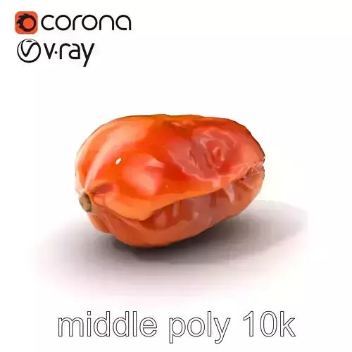Dried Date Fruit Detailed Model Pack Low-poly 3D model
