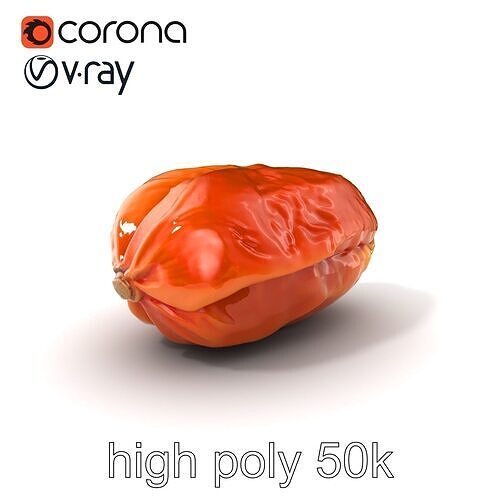 Dried Date Fruit Detailed Model Pack Low-poly 3D model view 2