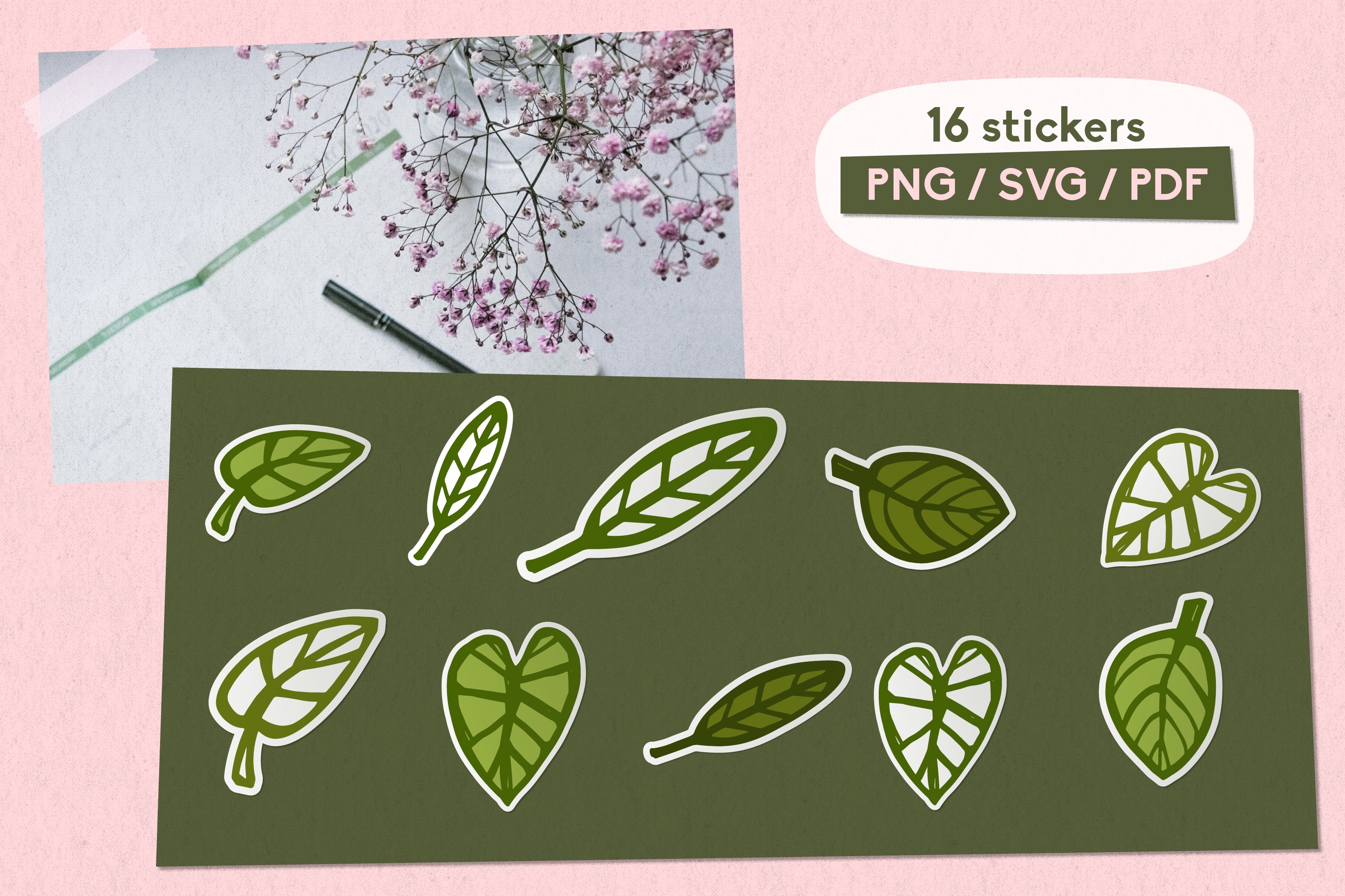 Monstera Nature Sticker Bundle SVG Cricut Label Sublimation view 3