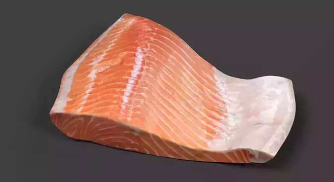 Salmon Fillet - Raw Fish Steak 3D model view 2