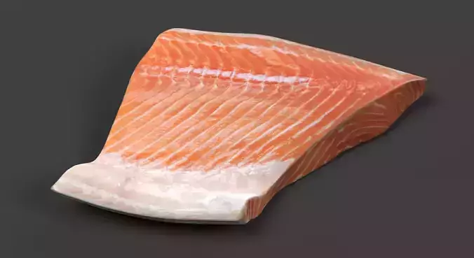 Salmon Fillet - Raw Fish Steak 3D model view 3