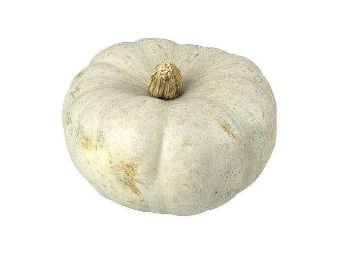 Photorealistic Kabocha Squash 3D Scan 1 3D model view 2