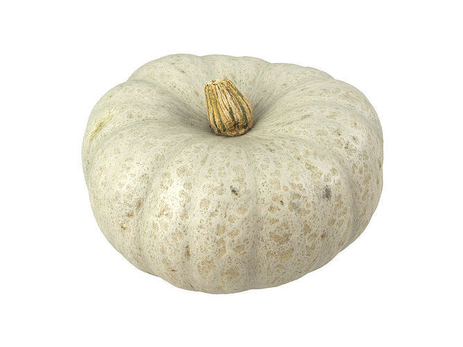 Photorealistic Kabocha Squash 3D Scan 1 3D model view 3