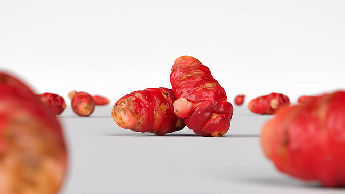 Oca Root 3D model view 2
