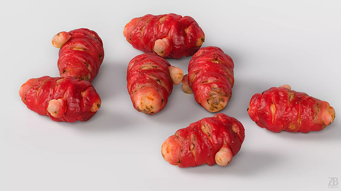 Oca Root 3D model view 3