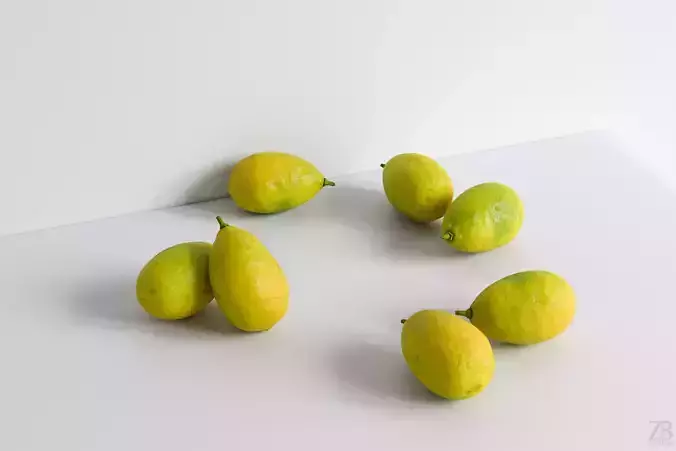 Limequat  3D model