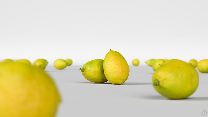 Limequat  3D model view 2