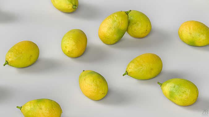 Limequat  3D model view 3