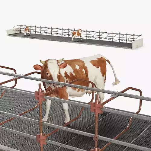Cow Stalls and Cow 3D model
