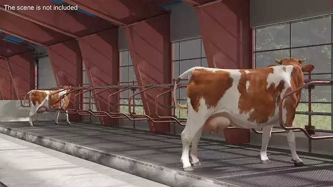 Cow Stalls and Cow 3D model view 3
