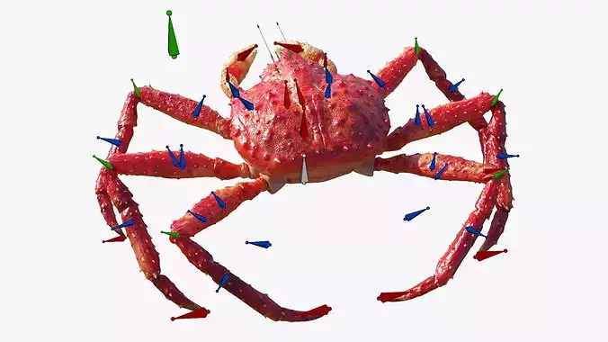 Red King Crab Rigged For Blender 3D model view 2
