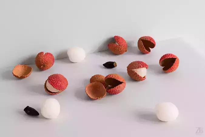 Lychee 3D model