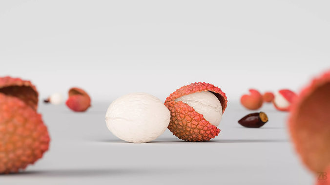 Lychee 3D model view 2