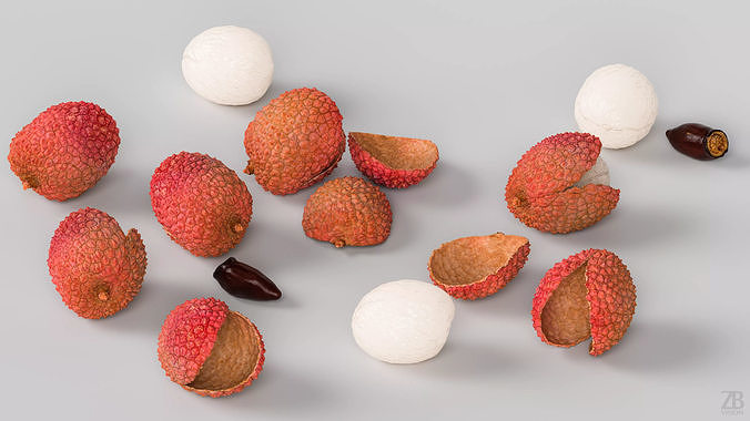Lychee 3D model view 3