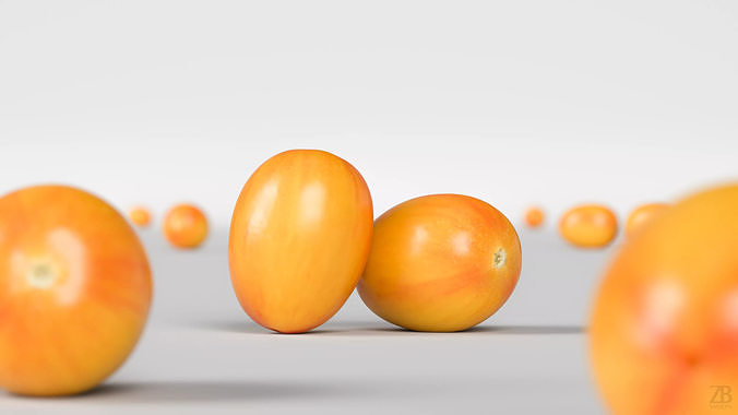 Tomato 3D model view 2