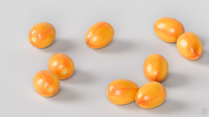 Tomato 3D model view 3