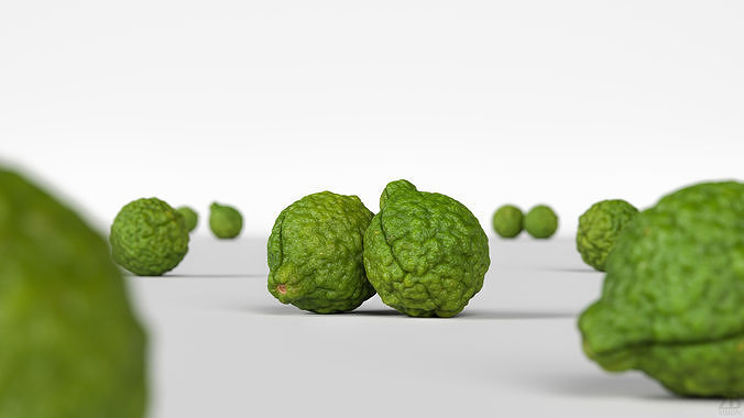 Lime  3D model view 2