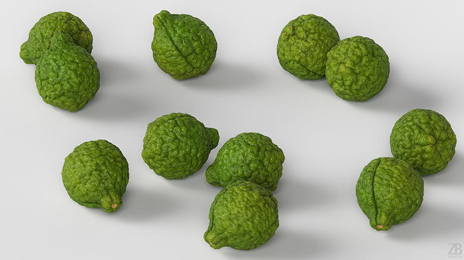 Lime  3D model view 3