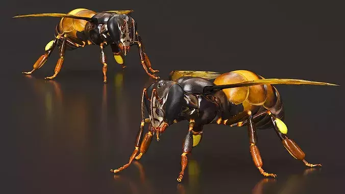 Honey Bee Insect Rigged 3D model