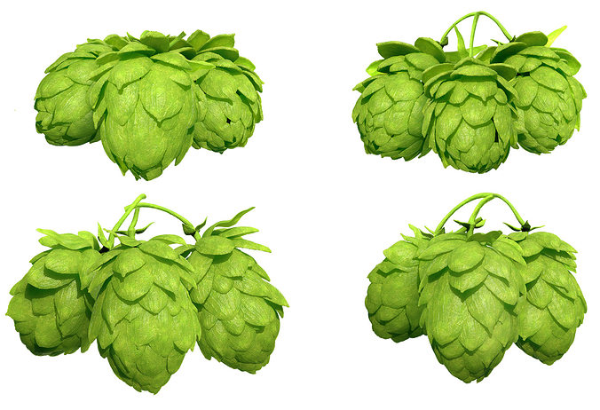 Hops 3d Models Package High Poly Photorealistic  3D model view 3