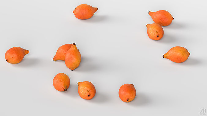 Achacha 3D model view 3